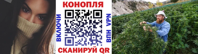 Купить закладку Конопля  Codein  Гашиш  Меф  Опочка