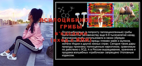 герыч Гусь-Хрустальный