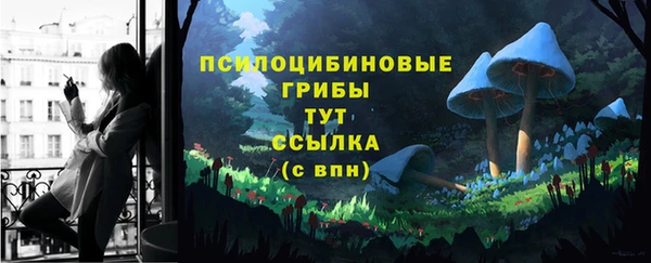 герыч Гусь-Хрустальный